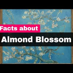 Van Gogh Almond Blossom - 10 Interesting Facts About Almond Blossom