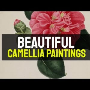 Camellia Paintings - 100 Beautiful Camellia Paintings