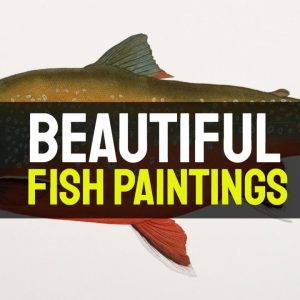 Fish Paintings - 30 Amazing Fish Paintings
